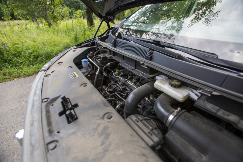 Нескромное обаяние богатства: тест-драйв минивэна Hongqi HQ9